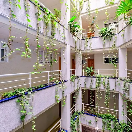 Virgen De La Paloma Id147 アパート