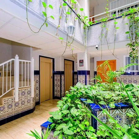 Virgen De La Paloma Id147