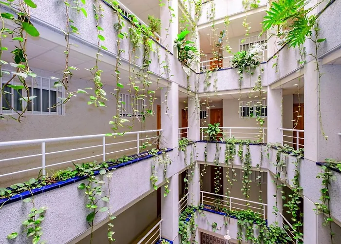 Virgen De La Paloma Id147 Apartment